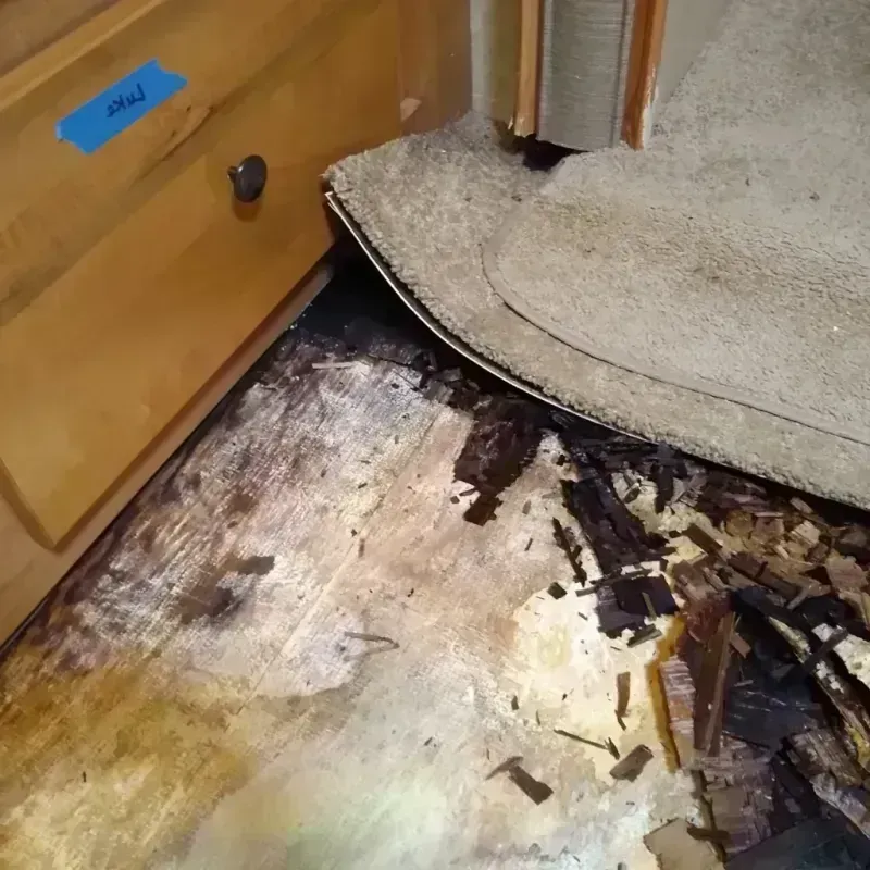 Wood Floor Water Damage in Callaway, FL